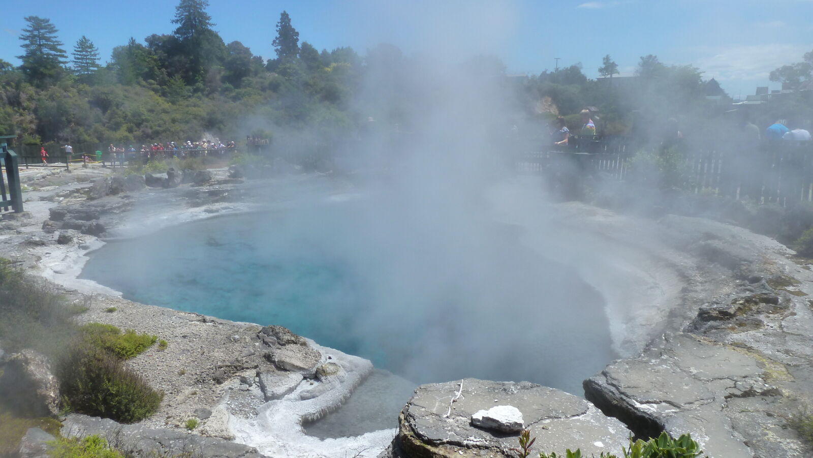Whakarewarewa Thermal Village, Rotorua.