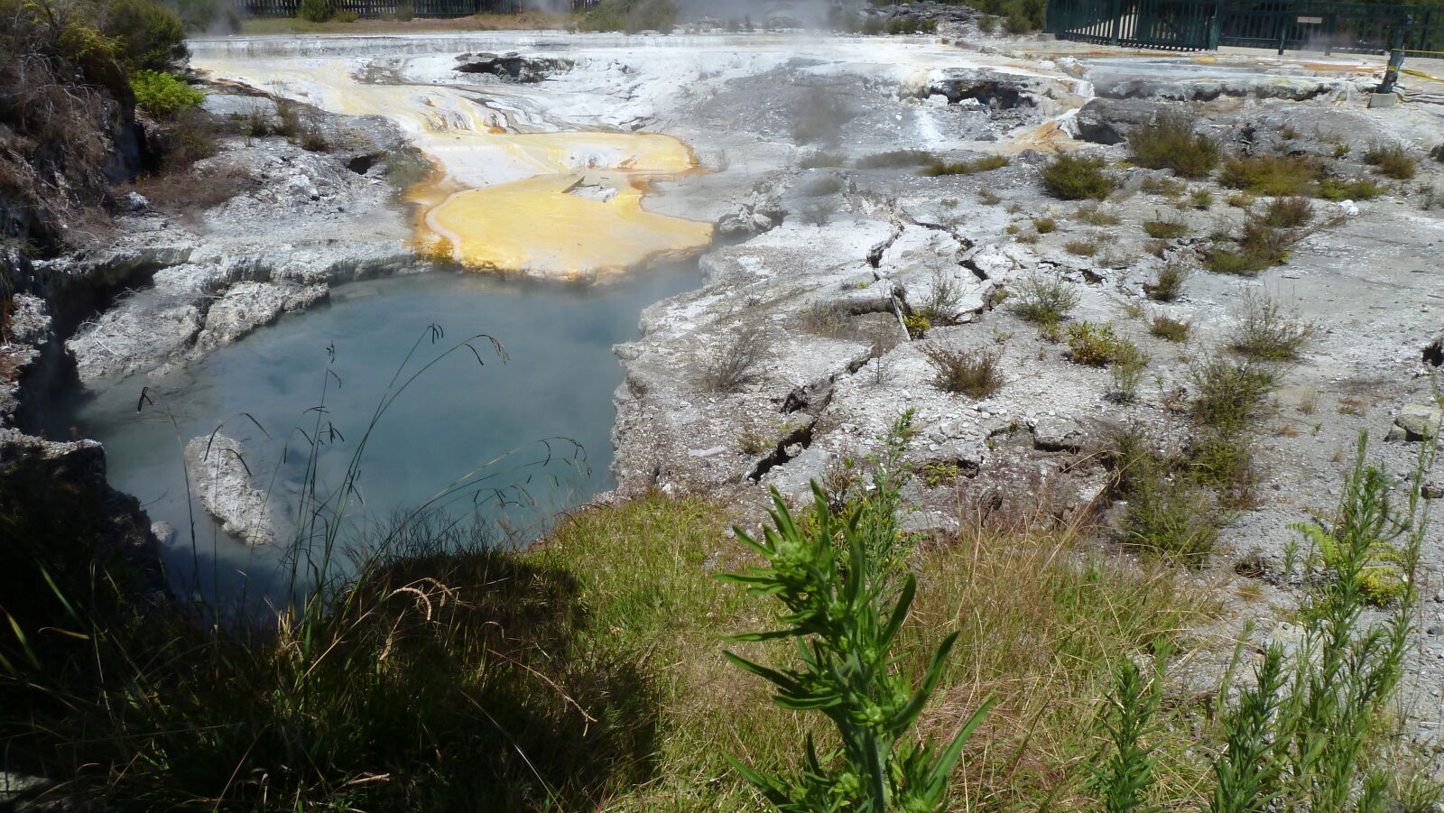 Whakarewarewa Thermal Village, Rotorua.