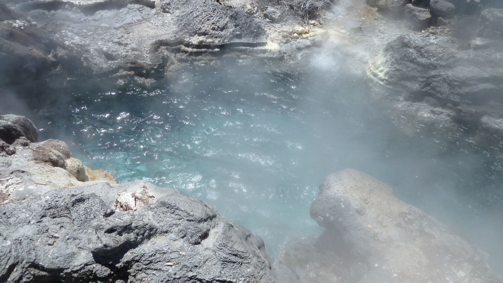 Whakarewarewa Thermal Village, Rotorua.