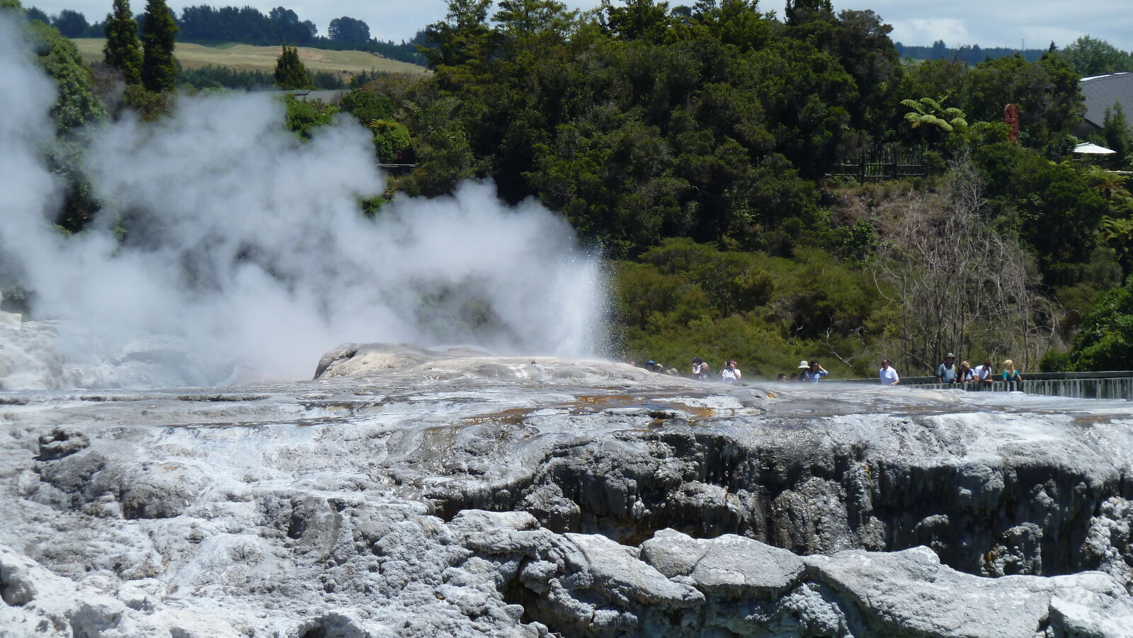 Prince of Wales' Feathers Geysir, Whakarewarewa Thermal Village, Rotorua.