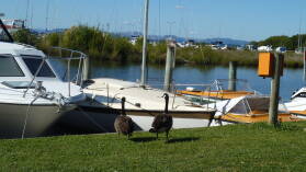 Motuoapa, Lake Taupo.