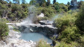 Whakarewarewa Thermal Village, Rotorua.