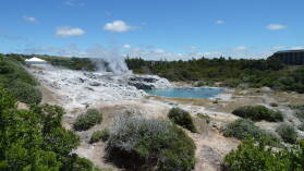 Prince of Wales' Feathers und Pohutu Geysire, Whakarewarewa Thermal Village, Rotorua.