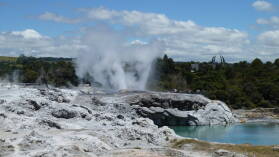 Prince of Wales' Feathers und Pohutu Geysire, Whakarewarewa Thermal Village, Rotorua.