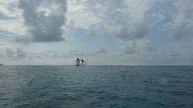 Warsobguadup, Coco Bandero Cays.