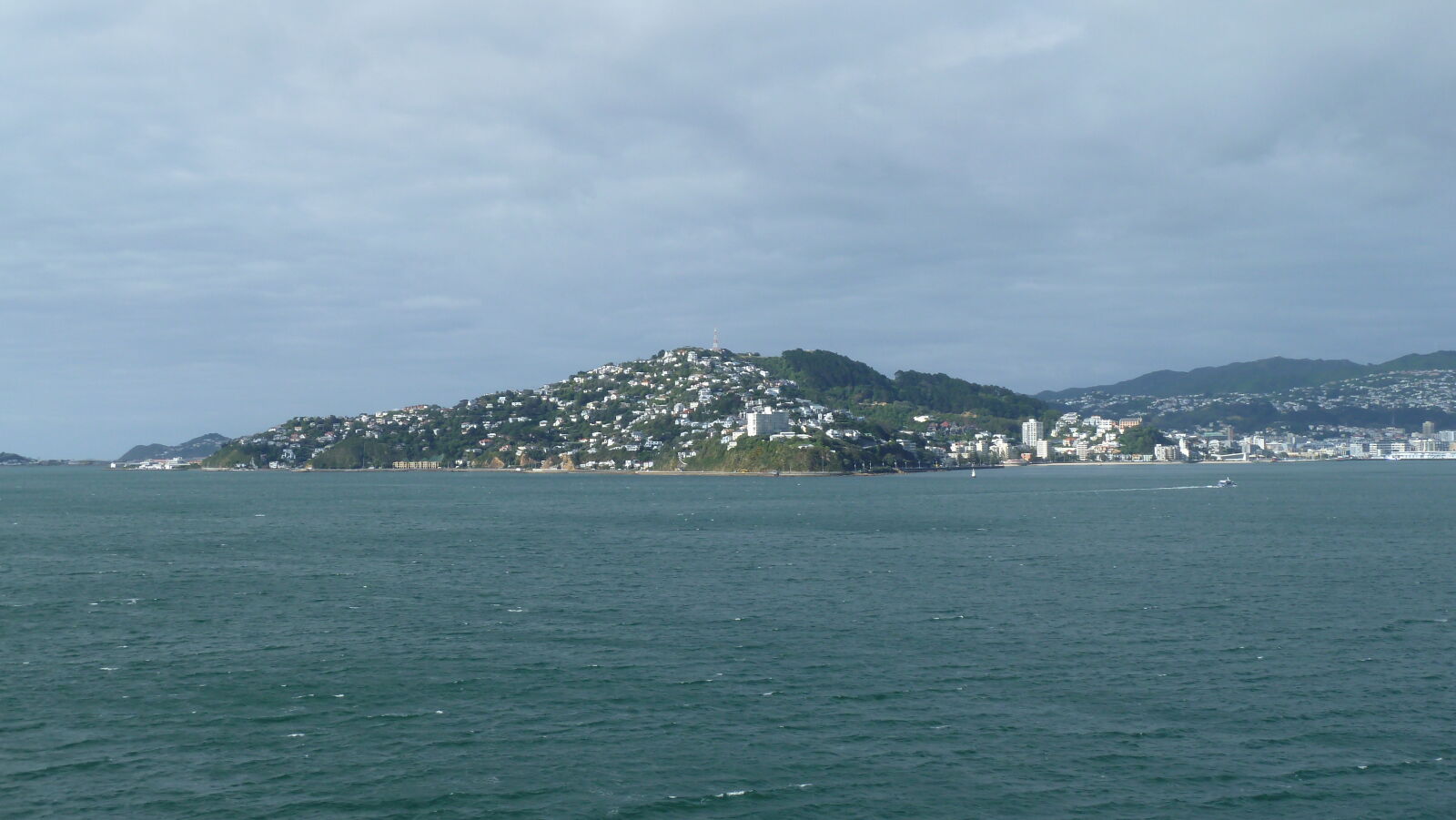 Wellington.