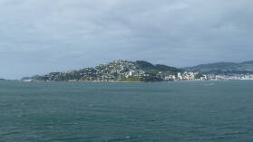 Wellington.