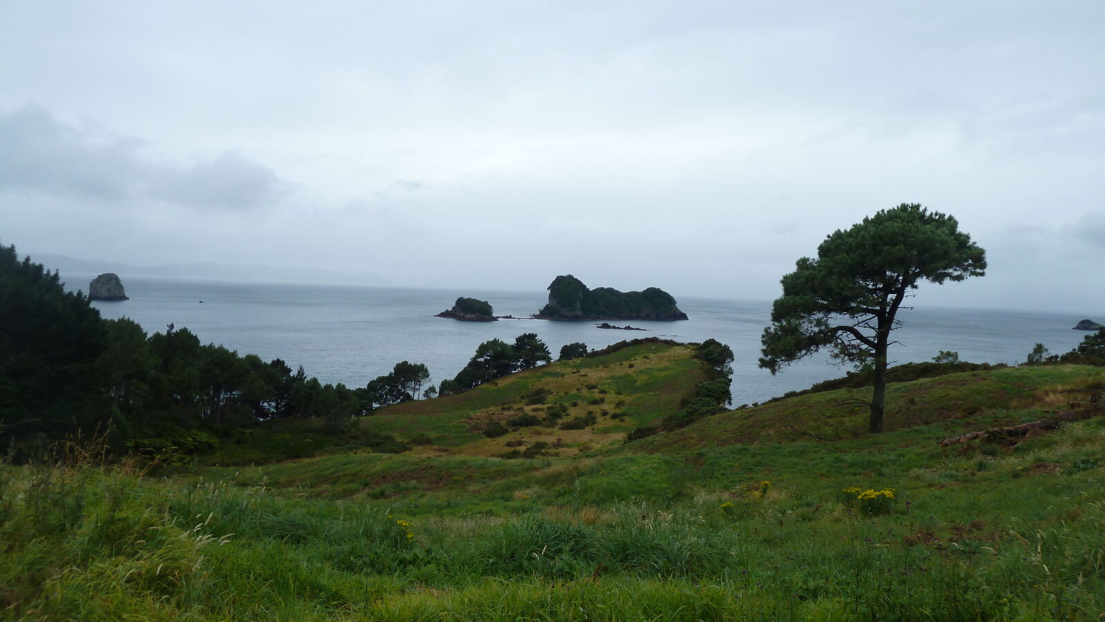 Wanderung zu Cathedral Cove.