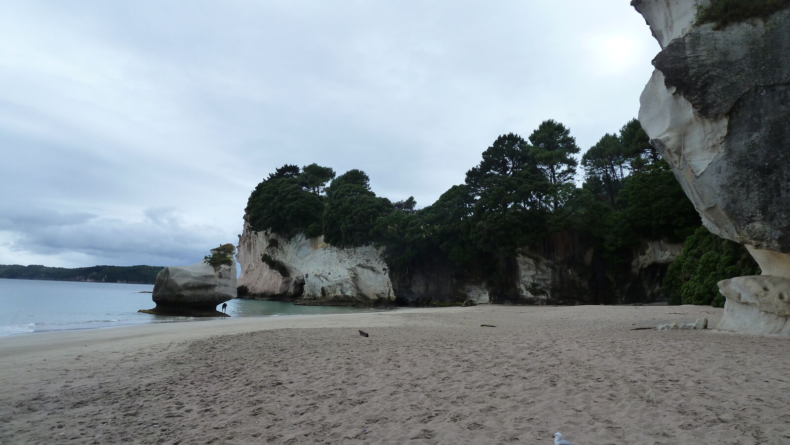 Cathedral Cove.