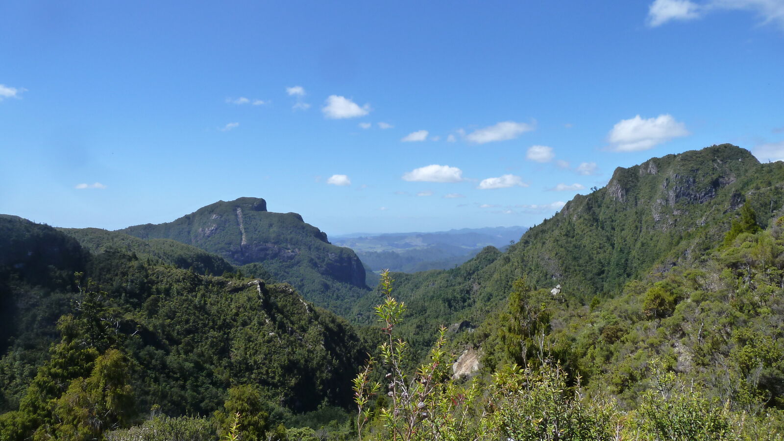 Wanderung zu den Pinnacles.