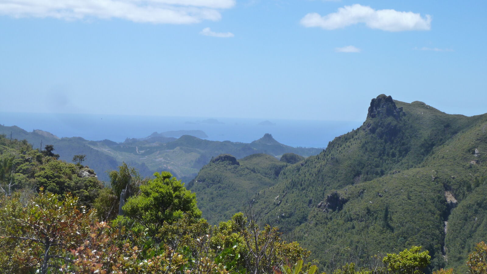 Wanderung zu den Pinnacles.