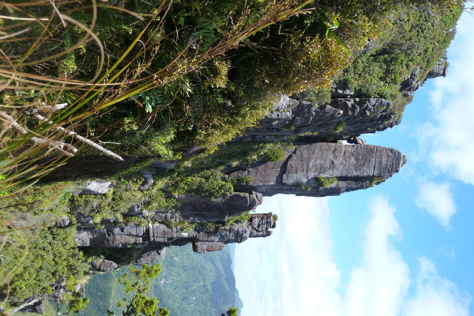 Wanderung zu den Pinnacles.