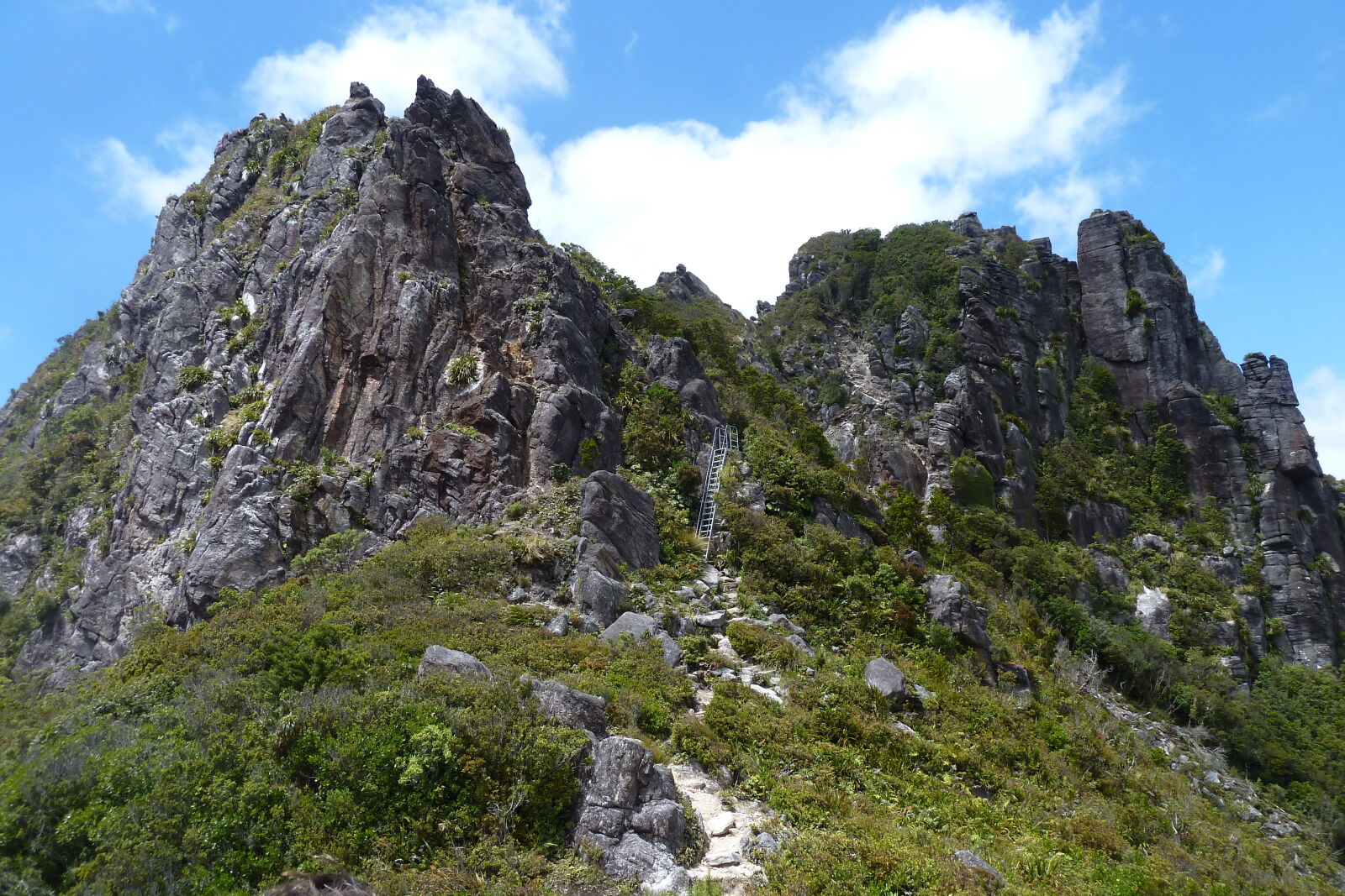 Wanderung zu den Pinnacles.