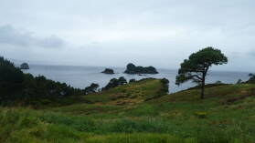Wanderung zu Cathedral Cove.