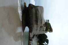 Cathedral Cove.