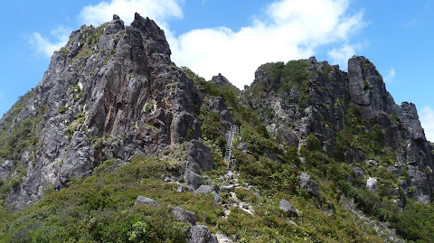 Coromandel (NZ)