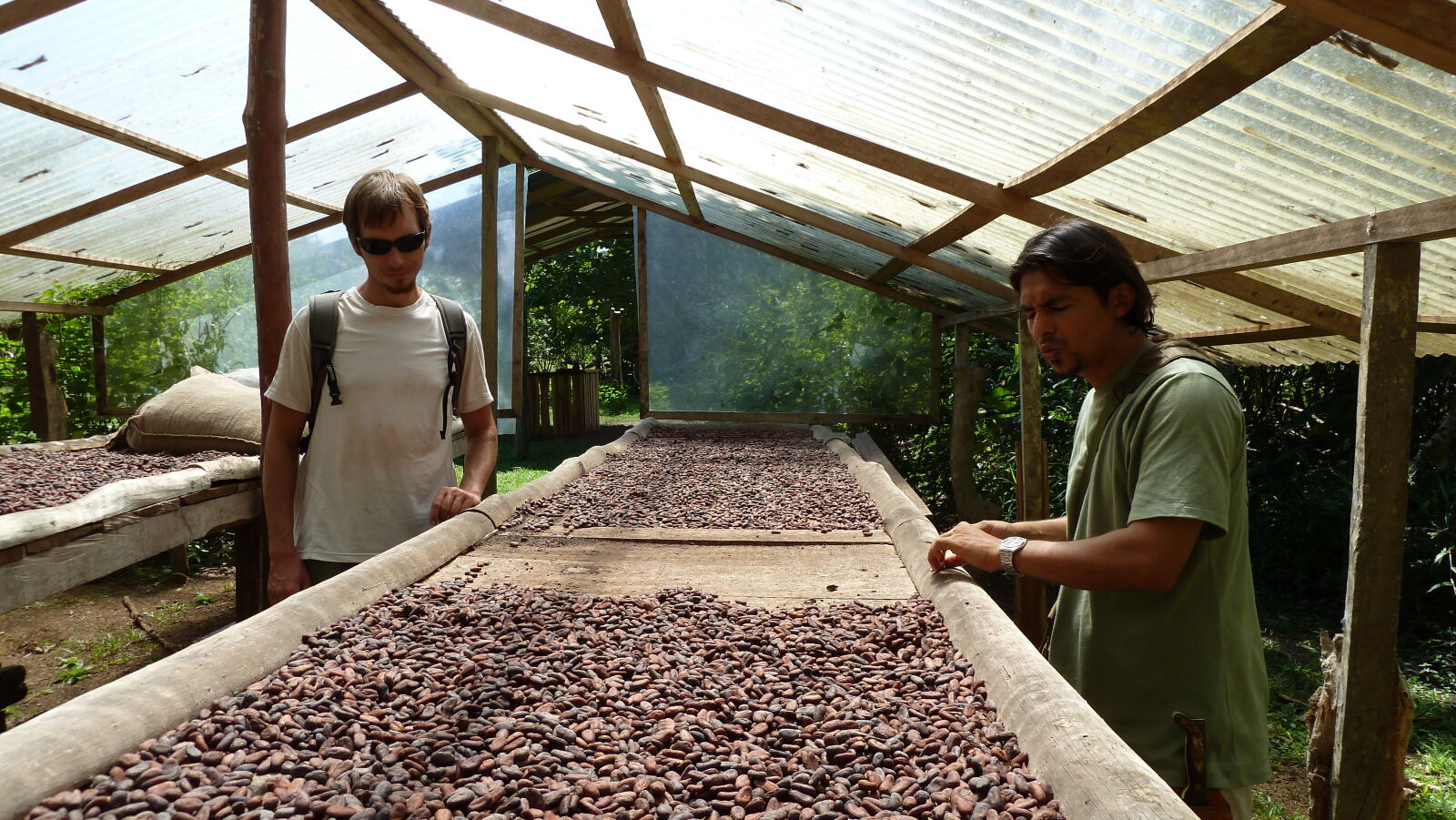 Kakao, Finca Köbö.