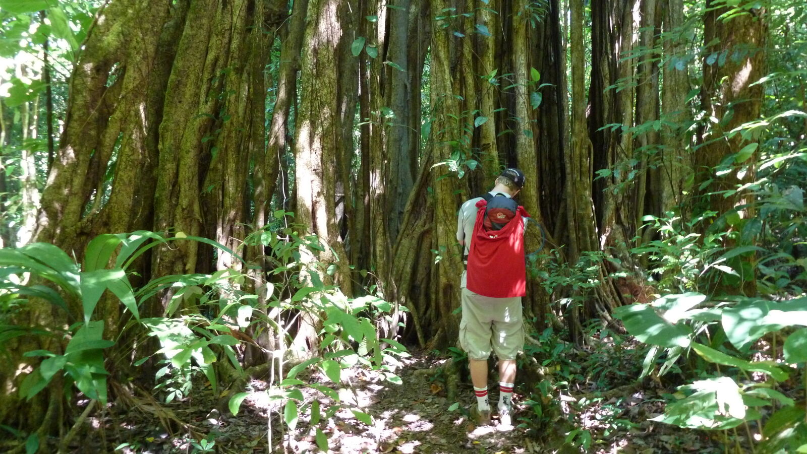 Corcovado Nationalpark.