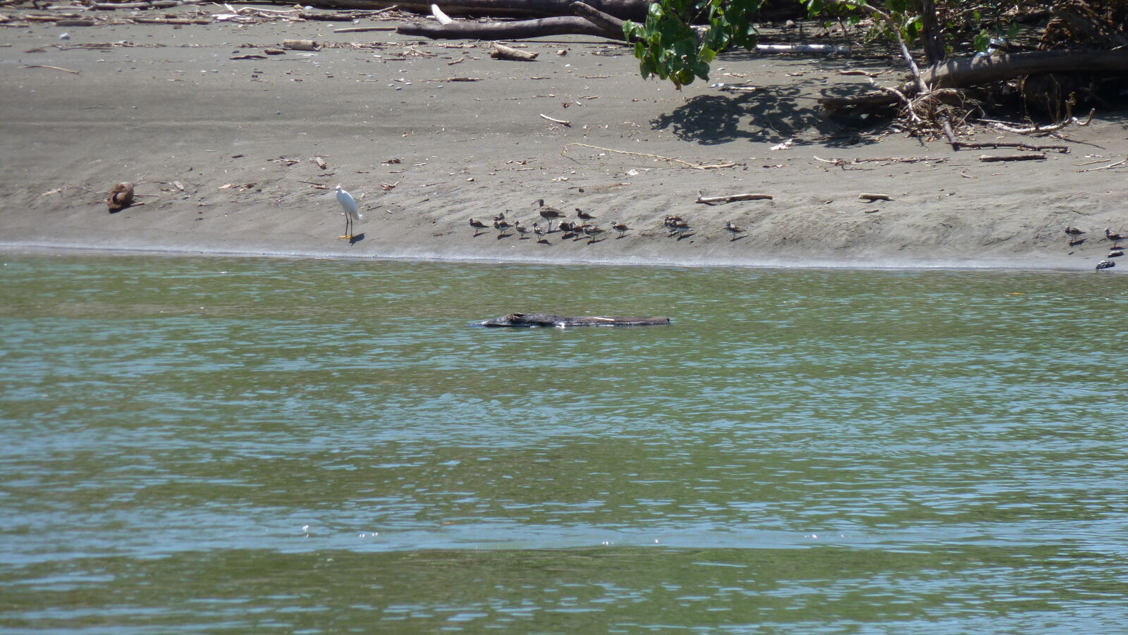 Corcovado Nationalpark.