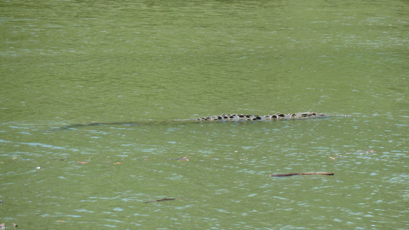 Corcovado Nationalpark.
