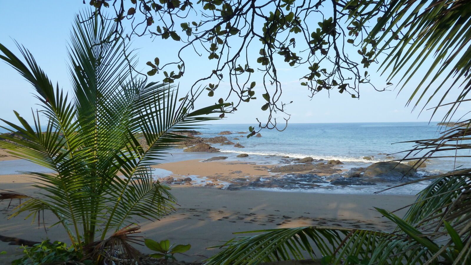 San Pedrillo, Corcovado Nationalpark.