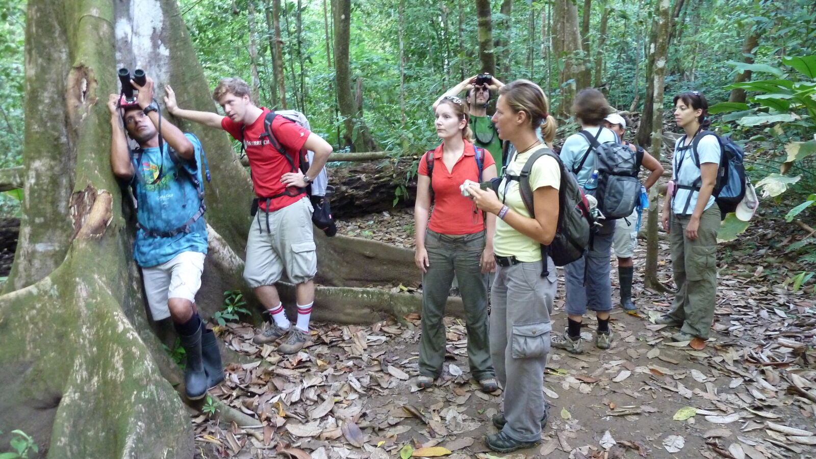 San Pedrillo, Corcovado Nationalpark.