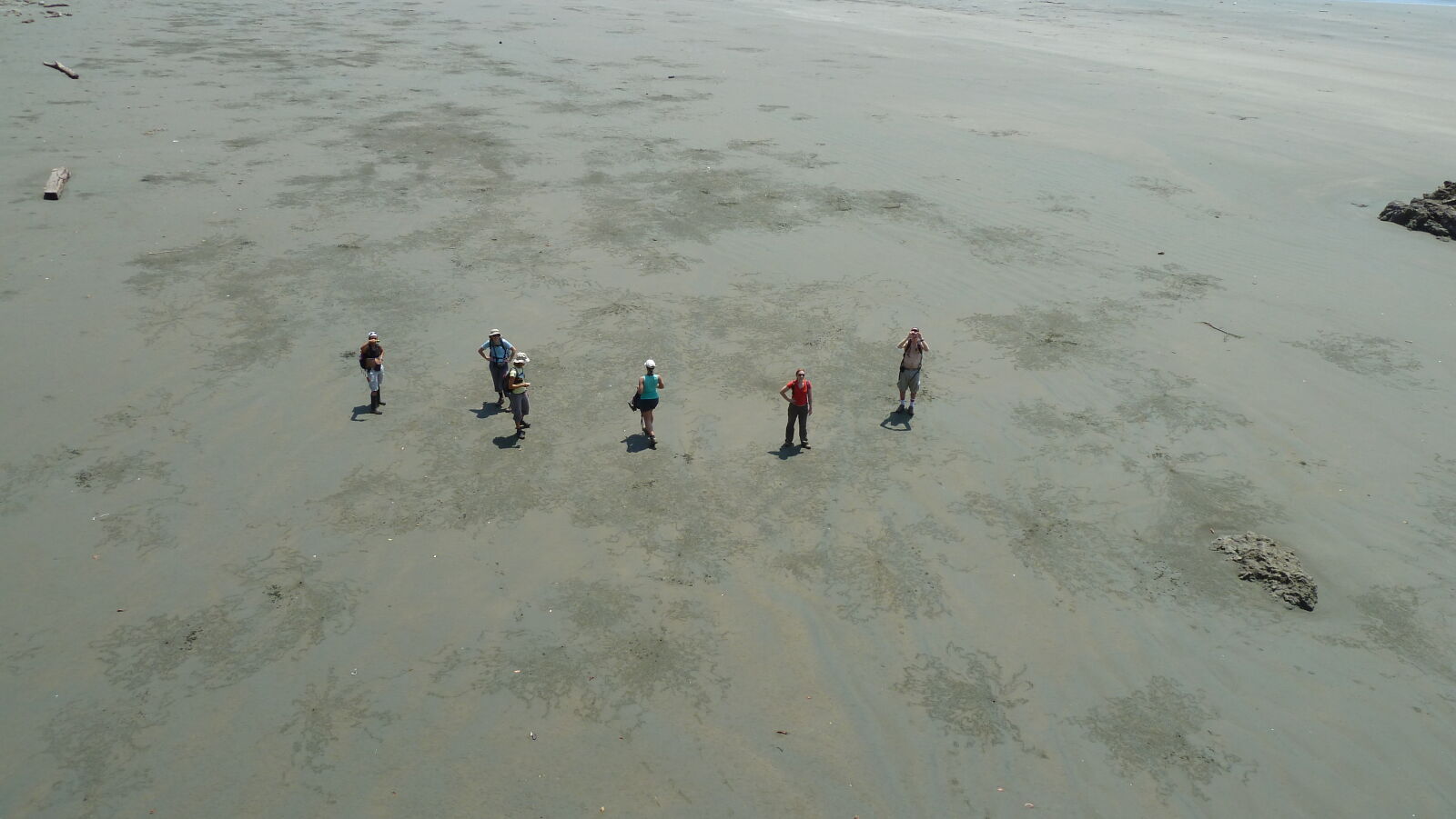 Playa Llorona, San Pedrillo, Corcovado Nationalpark.