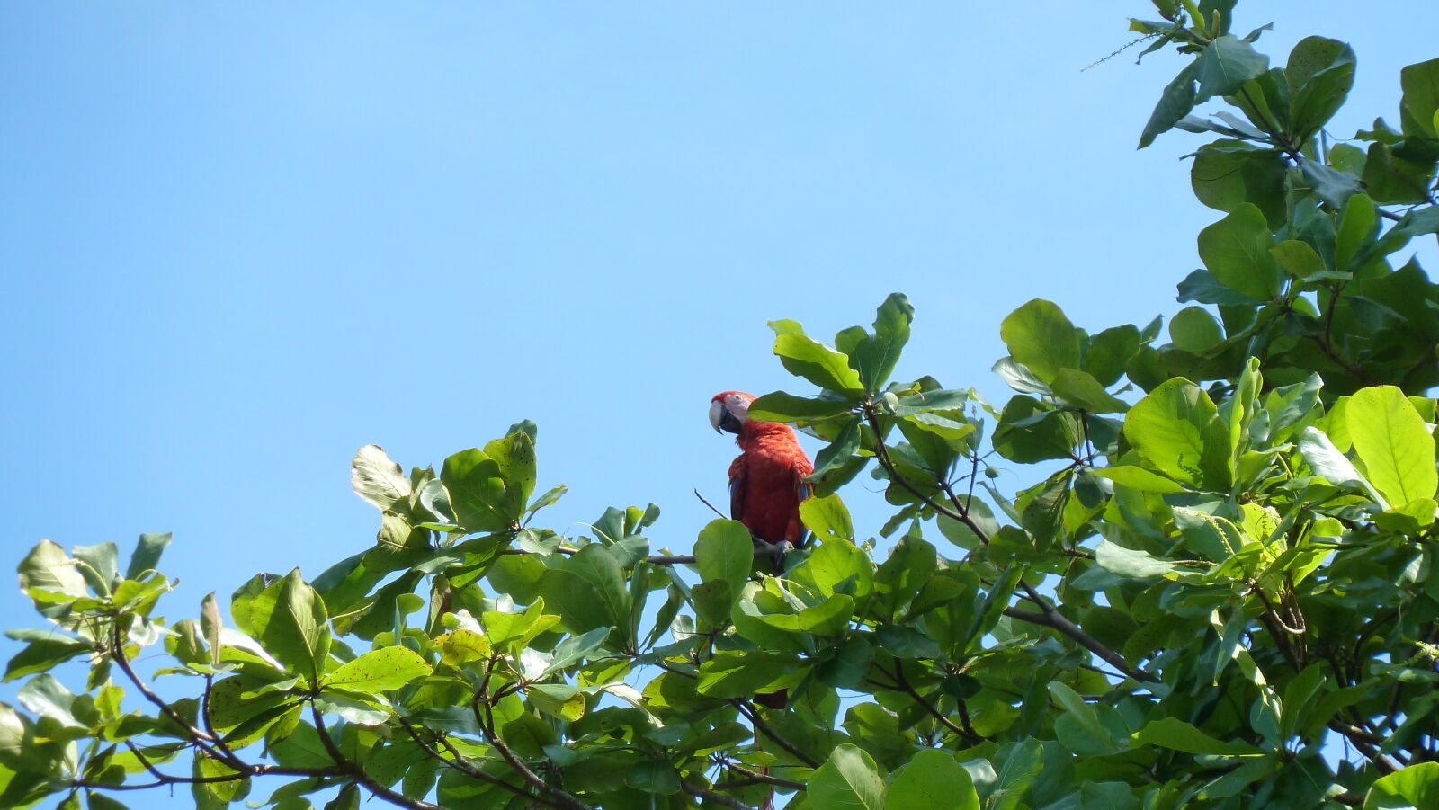 Küstenwanderung, Bahia Drake.