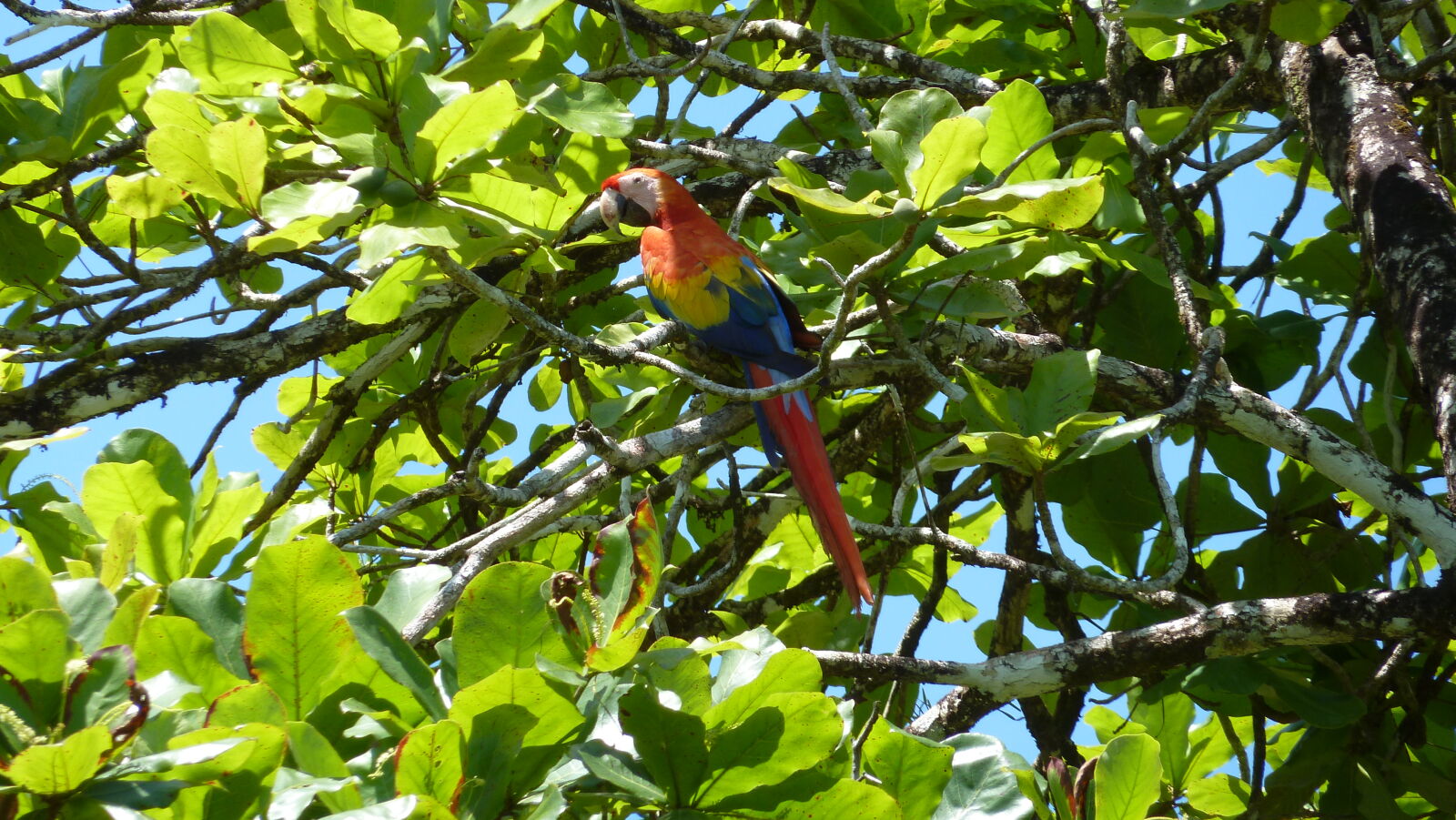 Küstenwanderung, Bahia Drake.