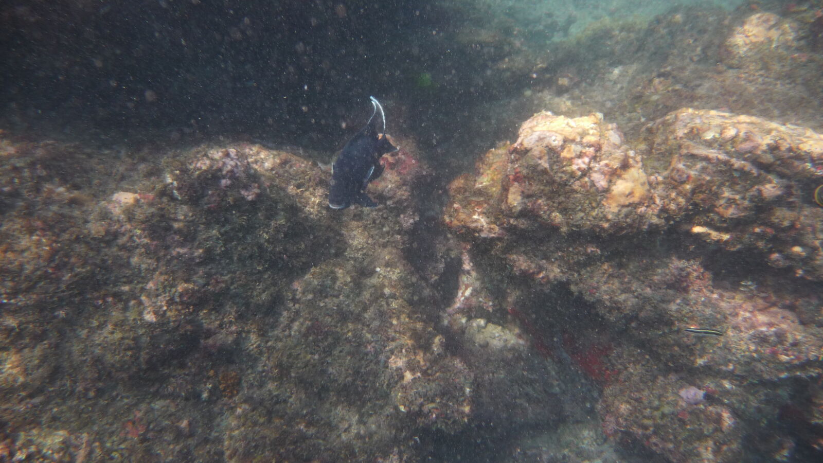 Schnorcheln bei Isla del Cano.