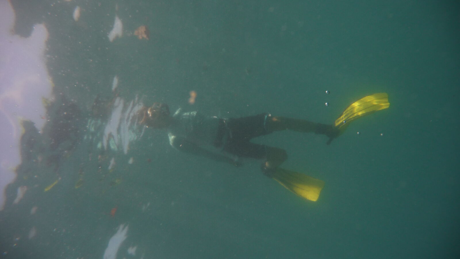 Schnorcheln bei Isla del Cano.