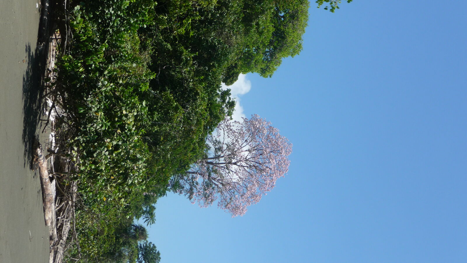 Corcovado Nationalpark.