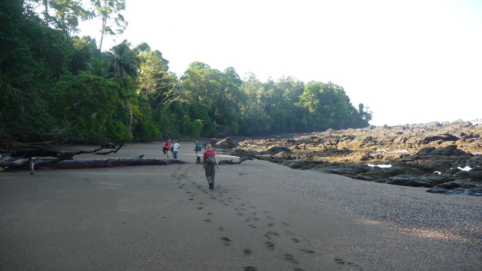 San Pedrillo, Corcovado Nationalpark.