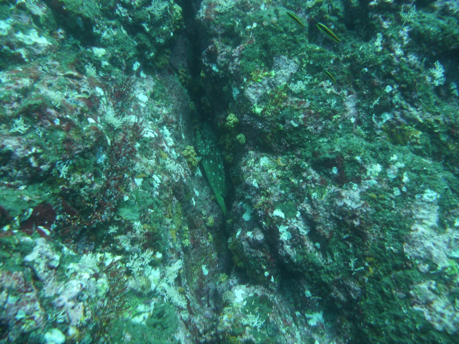 Isla del Cano.