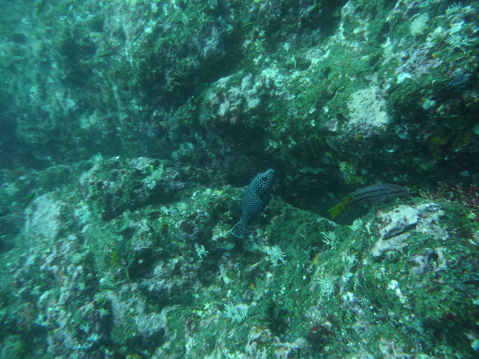 Isla del Cano.