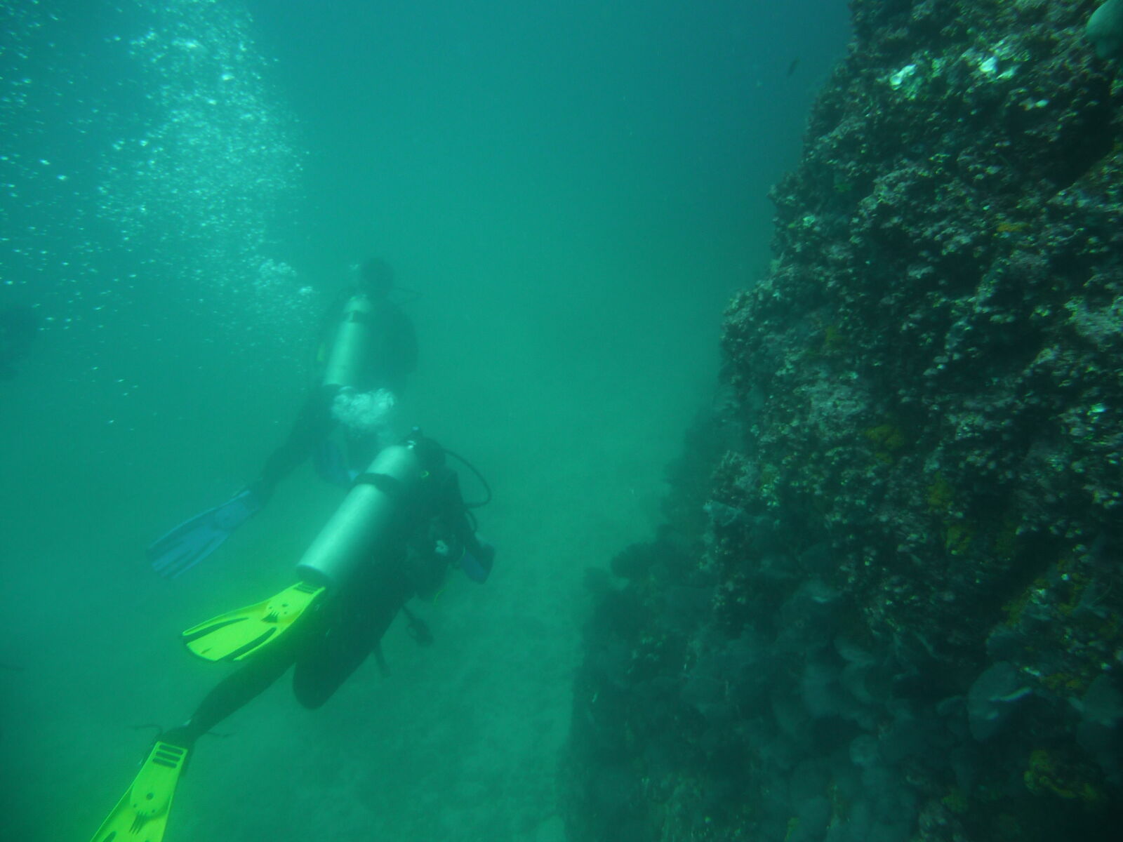 Isla del Cano.
