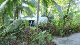 Eichhörnchen, Puerto Jimenez.