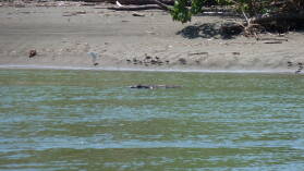 Corcovado Nationalpark.
