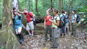 San Pedrillo, Corcovado Nationalpark.