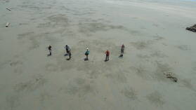 Playa Llorona, San Pedrillo, Corcovado Nationalpark.