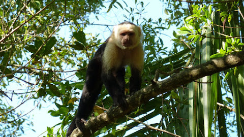 Costa Rica (CR)