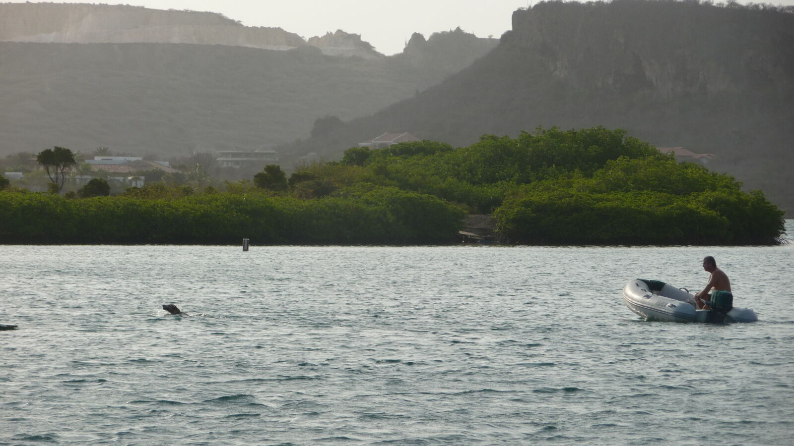 Hunde in Spanish Waters.