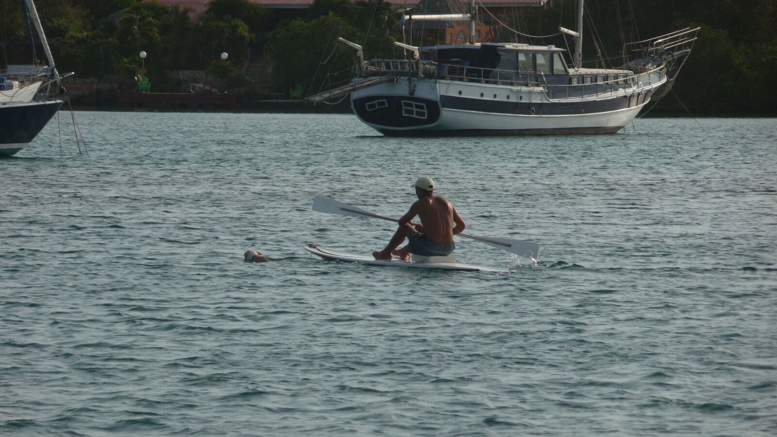 Hunde in Spanish Waters.