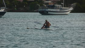 Hunde in Spanish Waters.