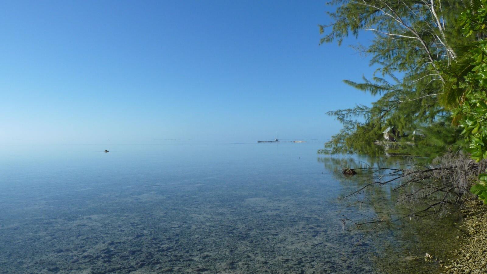 Tetamanu.