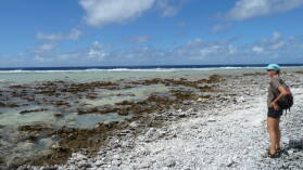 Lagunenlandschaft.