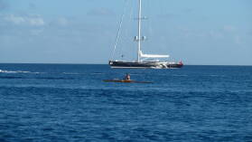 Pirogue - Regatta.