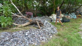 Hinano Pearls.