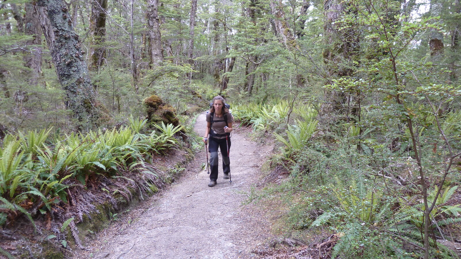 Kepler Track, Tag 1.