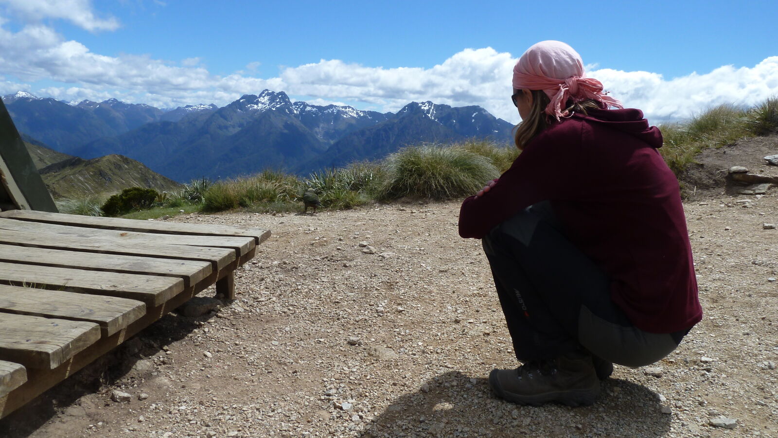 Keas beim Hanging Valley Shelter, Kepler Track, Tag 2.